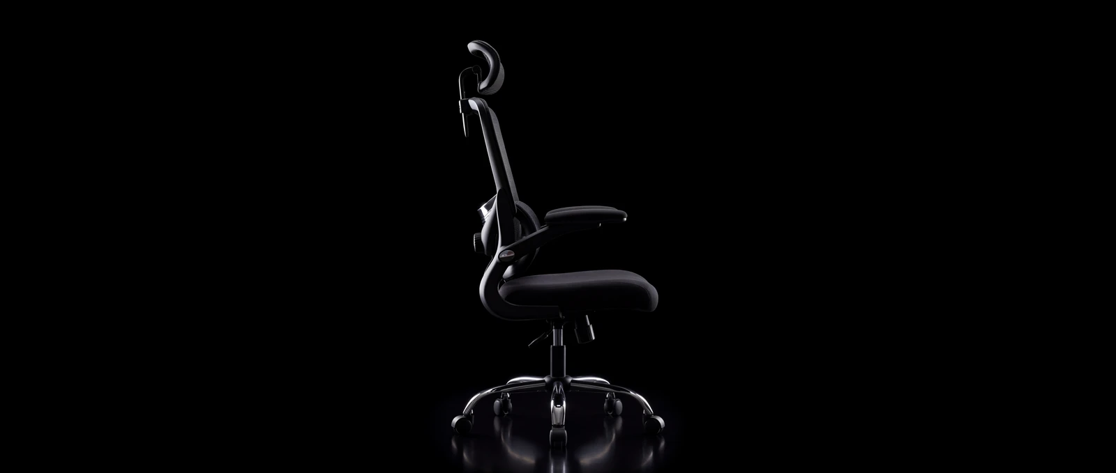 Silhouette de profil d'Aurèle One
